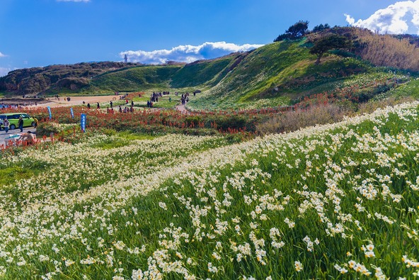 画像提供:下田市観光協会