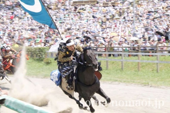 砂を蹴り上げ、躍動感あふれる走りを見せます