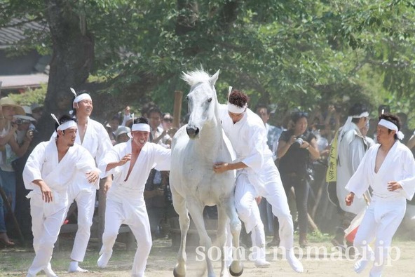 暴れる馬を抑え込む姿に感動!