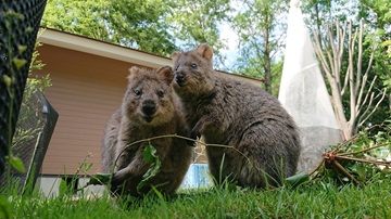 25のスタンプスポットのうちの一つ 埼玉県こども動物自然公園【東松山市】