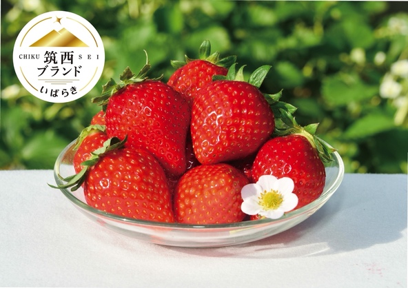 いちごは茨城県の主要な園芸作物のひとつ。筑西市をはじめ、県内全域で栽培されています(画像はイメージです、実際の賞品ではありません)