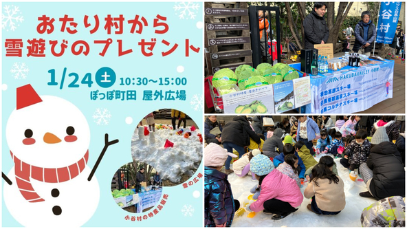 降ったばかりの新雪で遊べますよ♪