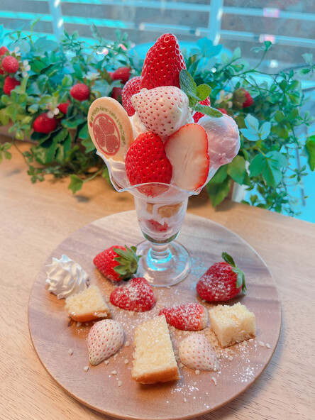 久能山白いちごパフェプレート(2,300円)