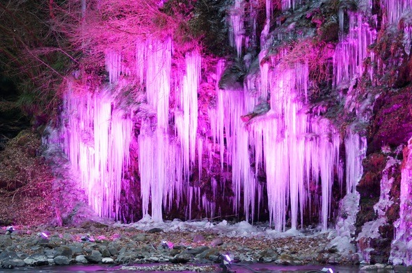 夜のライトアップで照らされた氷は、きっと特別な思い出になるはず