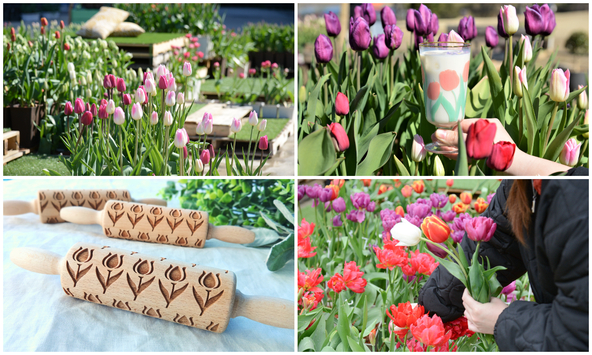 寒い冬に力強く咲くカラフルなチューリップはもちろん、チューリップモチーフの雑貨も見逃せません!