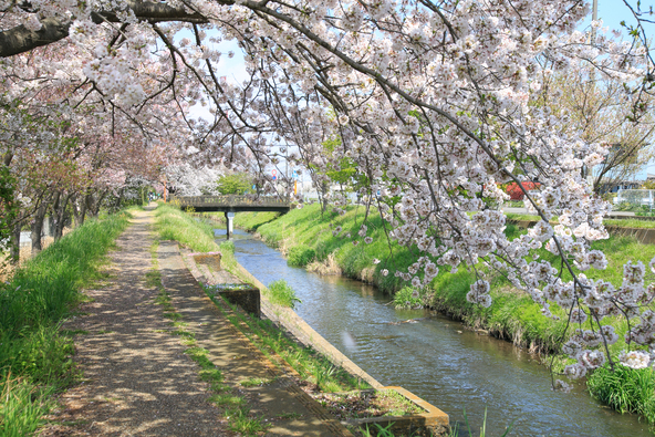 フォトジェニックな場所がたくさん!(画像提供:nuko / PIXTA)