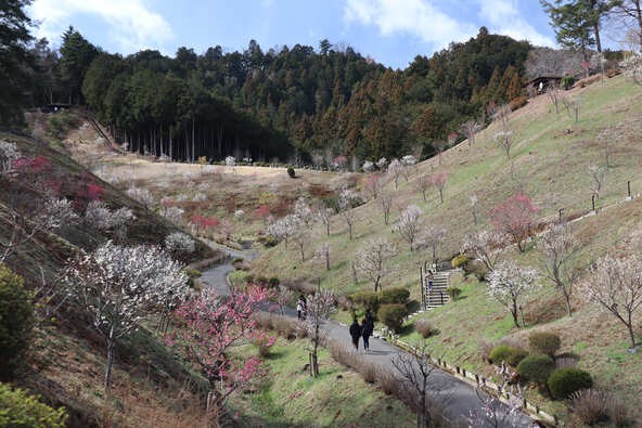 会場では、春らしい穏やかな景色が楽しめます