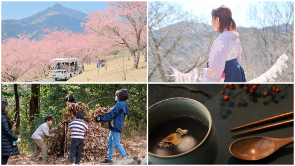 河津桜を背景にワンコインフォトや着付け体験!