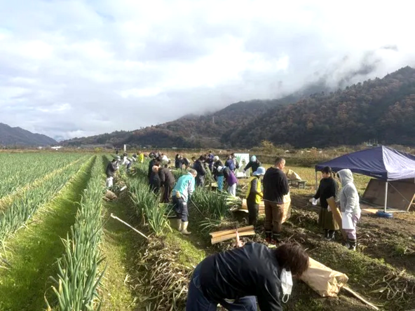 広々とした畑で収穫体験♪スポンと抜けるので、子供たちも大興奮!