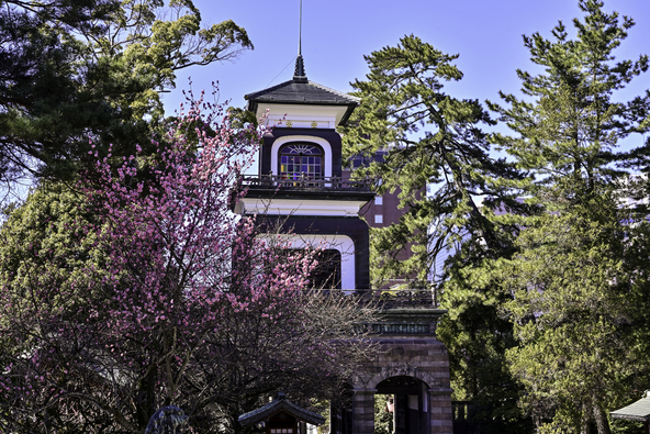 国の重要文化財「神門」を背景に咲く梅の花(画像提供:yoshihiro52 / PIXTA)