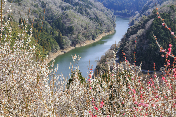 (画像提供:オフィスK / PIXTA)