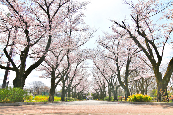 画像:いつか / PIXTA