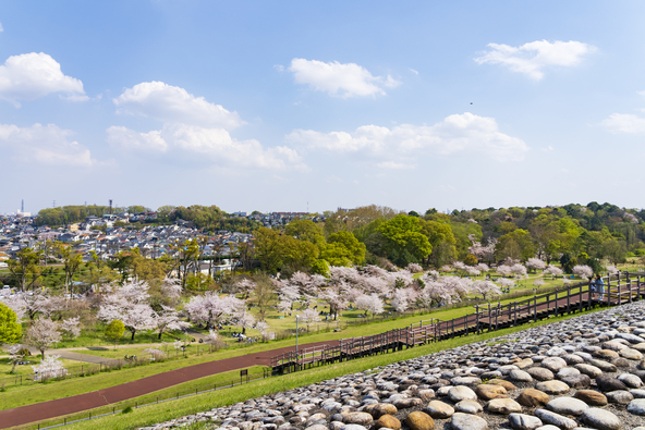 画像:k_river / PIXTA