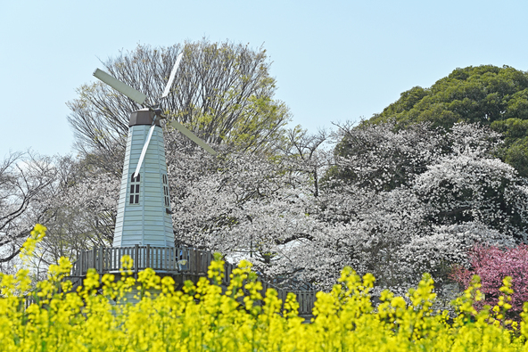 画像:浦部高明 / PIXTA