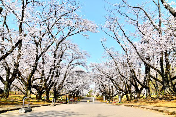 画像:いつか / PIXTA