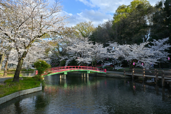 画像:gonbe / PIXTA