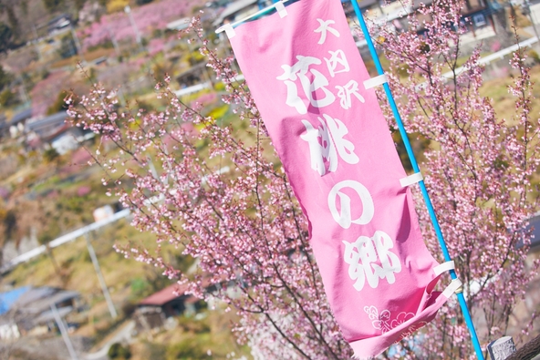 写真提供:(一社)埼玉県物産観光協会 / 複製・再転載禁止