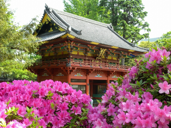 表参道から神橋を渡って最初に見える建物は、江戸時代に建てられた楼門(ろうもん)