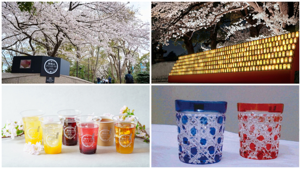 江戸情緒と桜を楽しむお花見体験