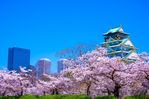 楽しいイベント盛りだくさんの「大阪城春まつり2026」(画像提供:shimanto / PIXTA)