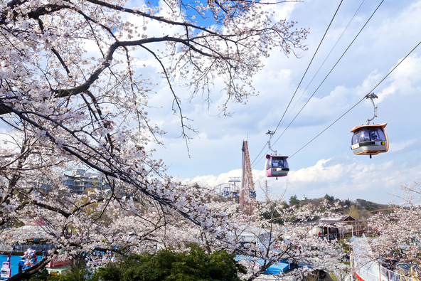 空中散歩しているような感覚を味わえます(画像提供:t.sakai / PIXTA)