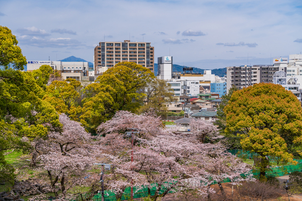 桜はもちろんさまざまな景色も楽しめます(画像提供:Yoshitaka / PIXTA)