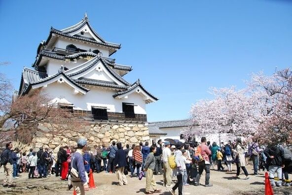 公益社団法人 彦根観光協会