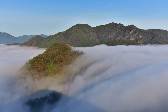 黒井城跡からの篠山盆地の丹波霧 画像:T3K / PIXTA(ピクスタ)