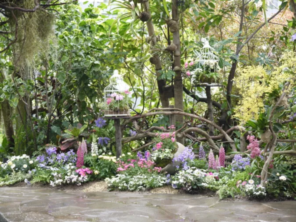 植物館の中とは思えないようなお庭