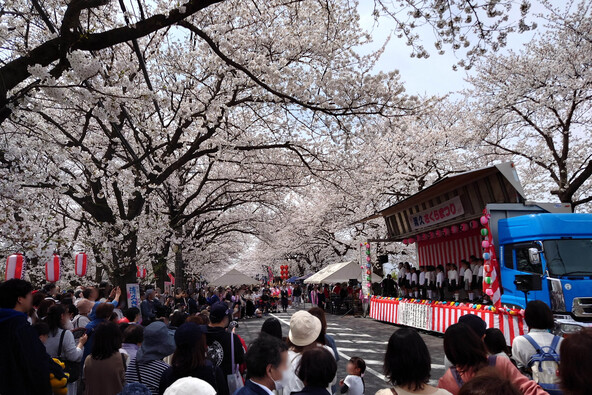 画像提供:久喜市観光協会