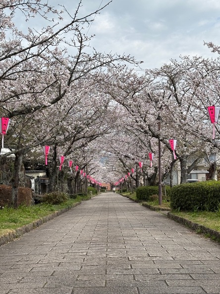 2026年3月30日の様子