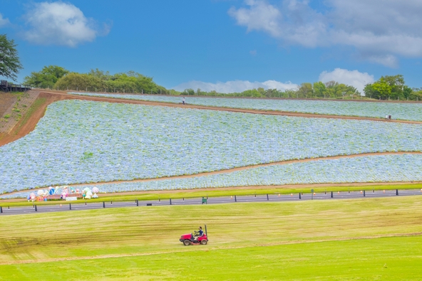 のどかな風景に癒やされます(画像提供: petapon / PIXTA)