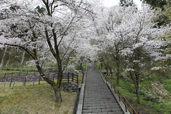 頑張って歩いたあとの達成感は格別!(画像提供:大野市)