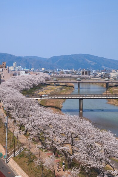 画像提供:公益社団法人福井県観光連盟