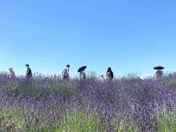 提供:一般社団法人久喜市観光協会