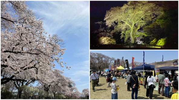 今週末の4月12日(日)には、催しが盛りだくさん!