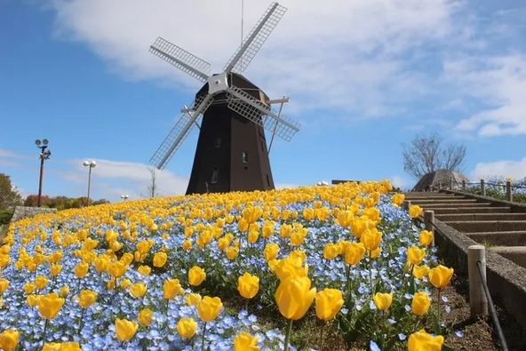 参加費は全額TSURUMIこどもホスピスへ寄付されます(画像提供:鶴見緑地パークセンター)