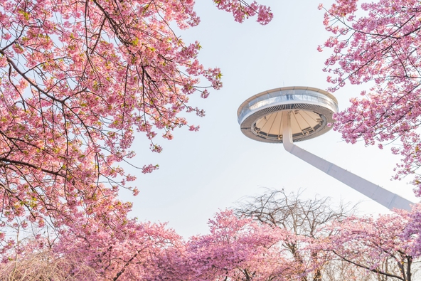 雄大なスケールの眺望を楽しめる「アイランド富士」(画像提供:daysgoby_JPN / PIXTA)