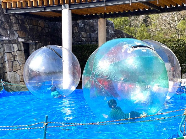 巨大ボールに入り、水上をフワフワ歩いたり寝転んだりしよう!