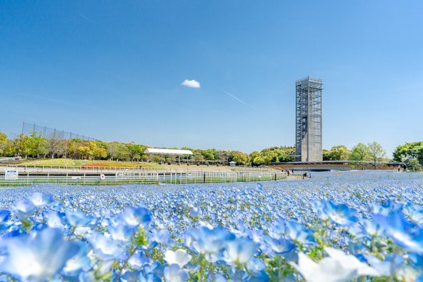 展望塔(有料)から園内と浜名湖を見渡せます(画像提供:浜松・浜名湖ツーリズムビューロー)