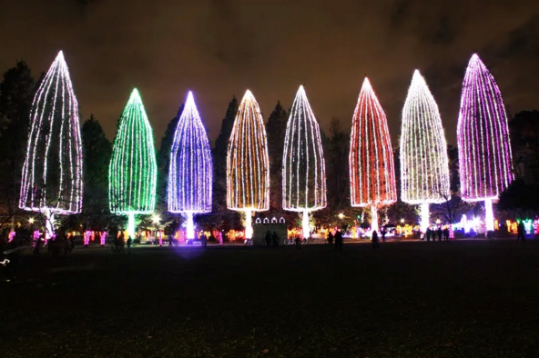 「光の祭典」の様子(画像提供:足立区)