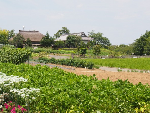 昔ながらの農業風景が再現されています