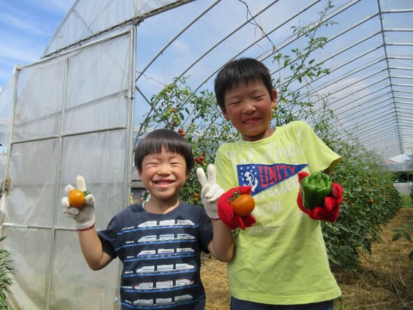 楽しい収穫体験の様子