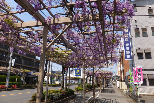 春日部駅西口から約1.1kmにわたって続きます(画像提供:AKM / PIXTA)