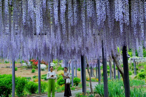 楽しいイベントが盛りだくさんのおまつりです