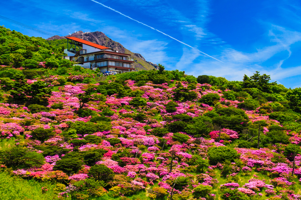 空中散歩で楽しむ仁田峠の絶景(画像提供:kattyan / PIXTA)
