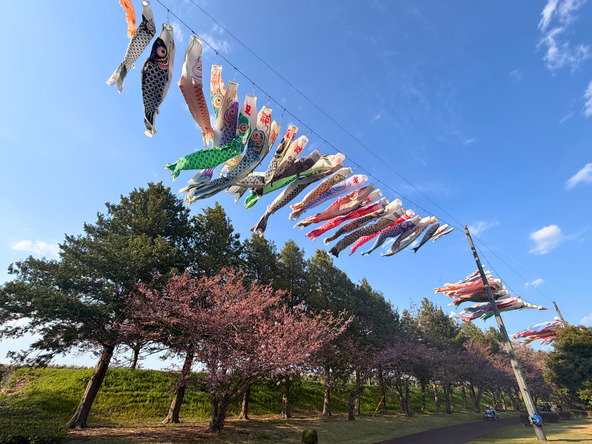 画像提供:小山市観光協会