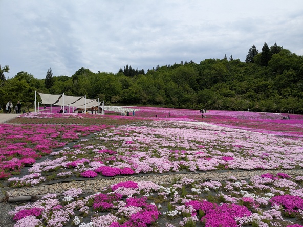 2026年5月8日の様子