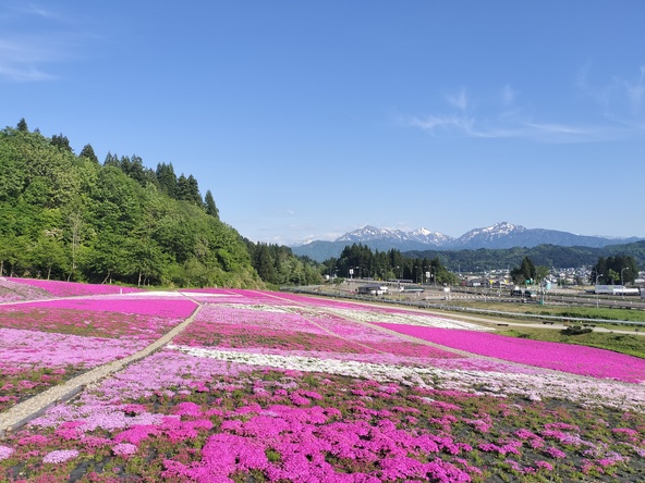 2026年5月11日の様子