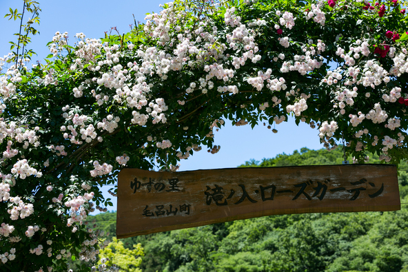 山に囲まれた自然豊かなでバラを楽しめます(画像提供:Catsu / PIXTA)